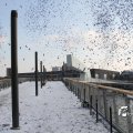 IMG_863956