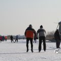 IMG_864133