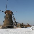 IMG_864184