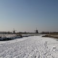 IMG_864231