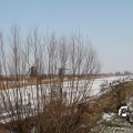 IMG_864239
