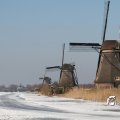 IMG_864275