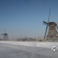IMG_864295