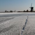 IMG_864296