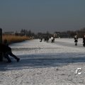 IMG_864337
