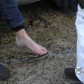 IMG_864345