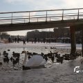IMG_864754