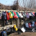 IMG_864436