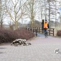 IMG_868463