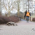 IMG_868464
