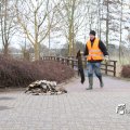 IMG_868465