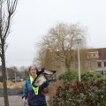 IMG_868511