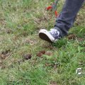 IMG_868682