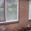 IMG_868717