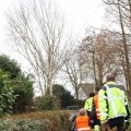 IMG_868755