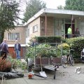 IMG_868781