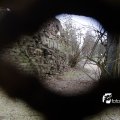 _IGP3024