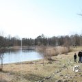 IMG_869613