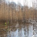 IMG_869622