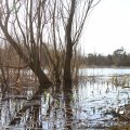 IMG_869625