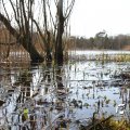 IMG_869626