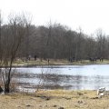 IMG_869629