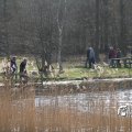 IMG_869632