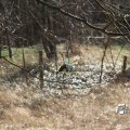 IMG_869637
