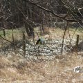 IMG_869638
