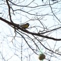 IMG_869639