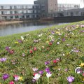 IMG_869653