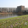 IMG_869656