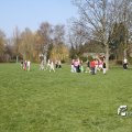 IMG_869680