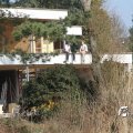 IMG_869687