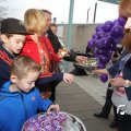 IMG_870537