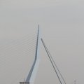 IMG_877204