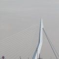 IMG_877225