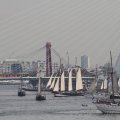 IMG_877226