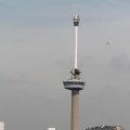 IMG_877243