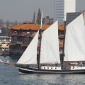 IMG_877246