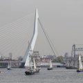IMG_877251