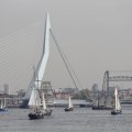 IMG_877252