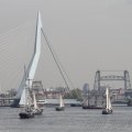 IMG_877253