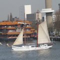 IMG_877281