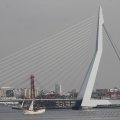 IMG_877336
