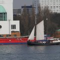 IMG_877338