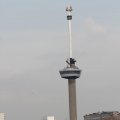 IMG_877347