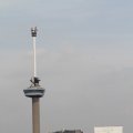 IMG_877352