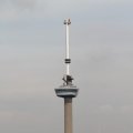 IMG_877396
