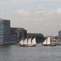 IMG_877433